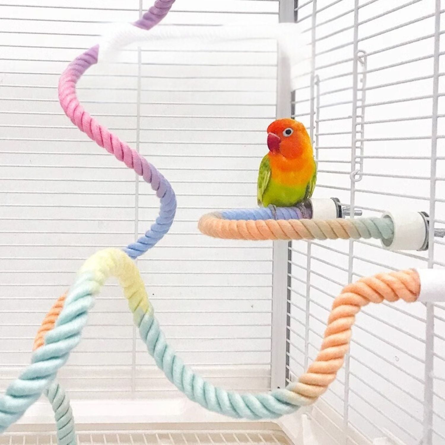 parrot swing touw speeltoestel voor actieve vogels